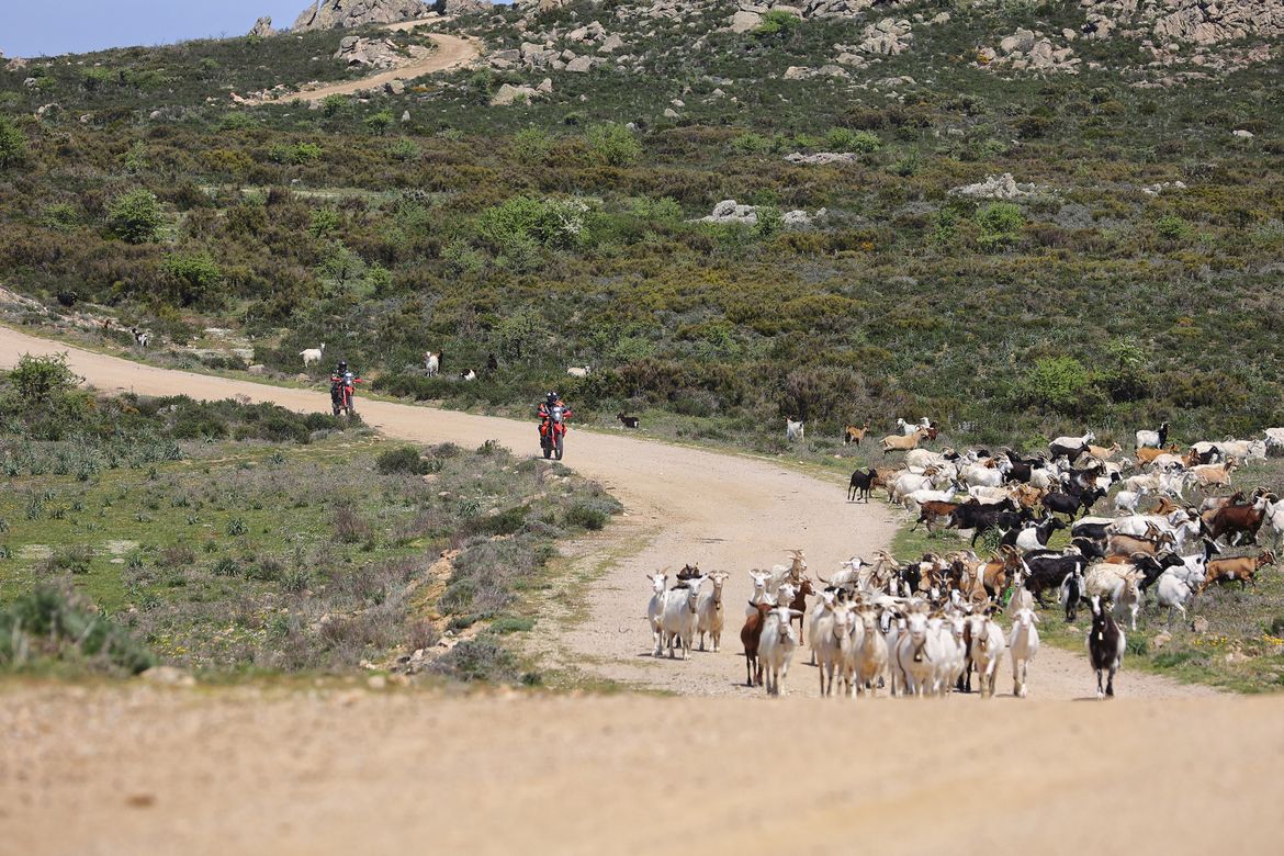Sardegna Gran Tour 2024 3