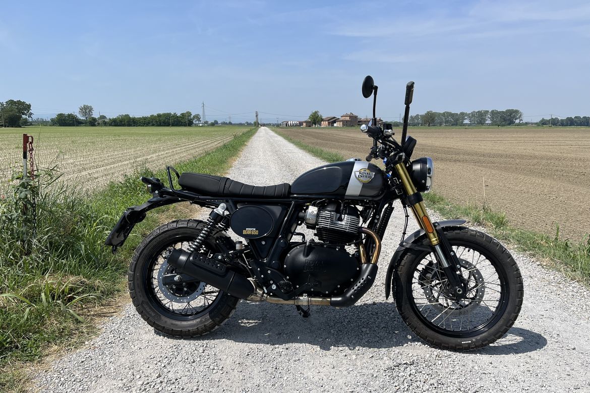 Bear 650