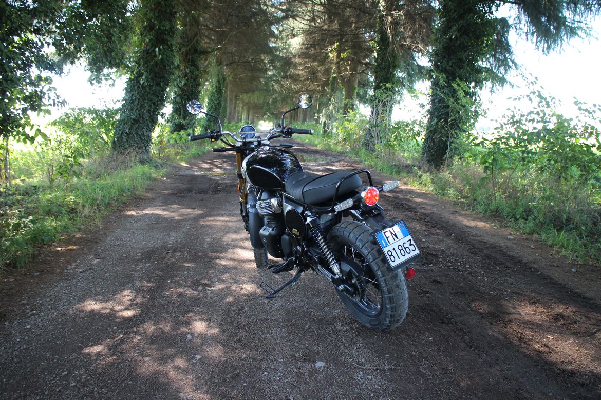 Royal Enfield bear 650 6