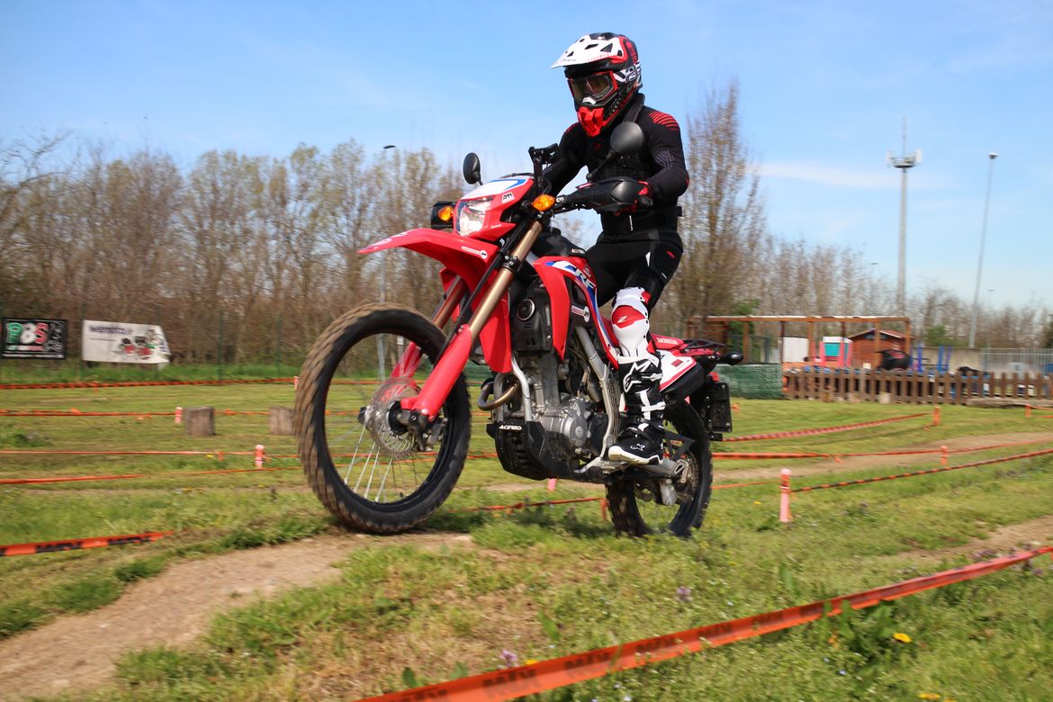 Zandona off-road 2