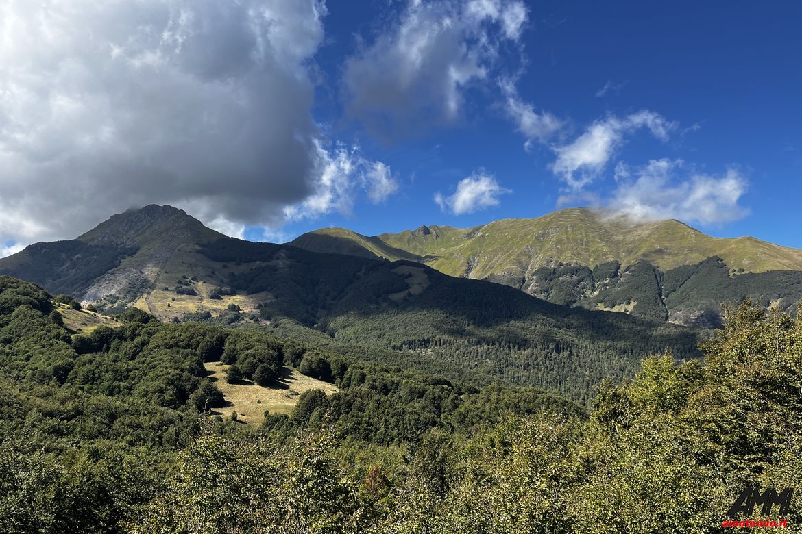 peccioli cerreto