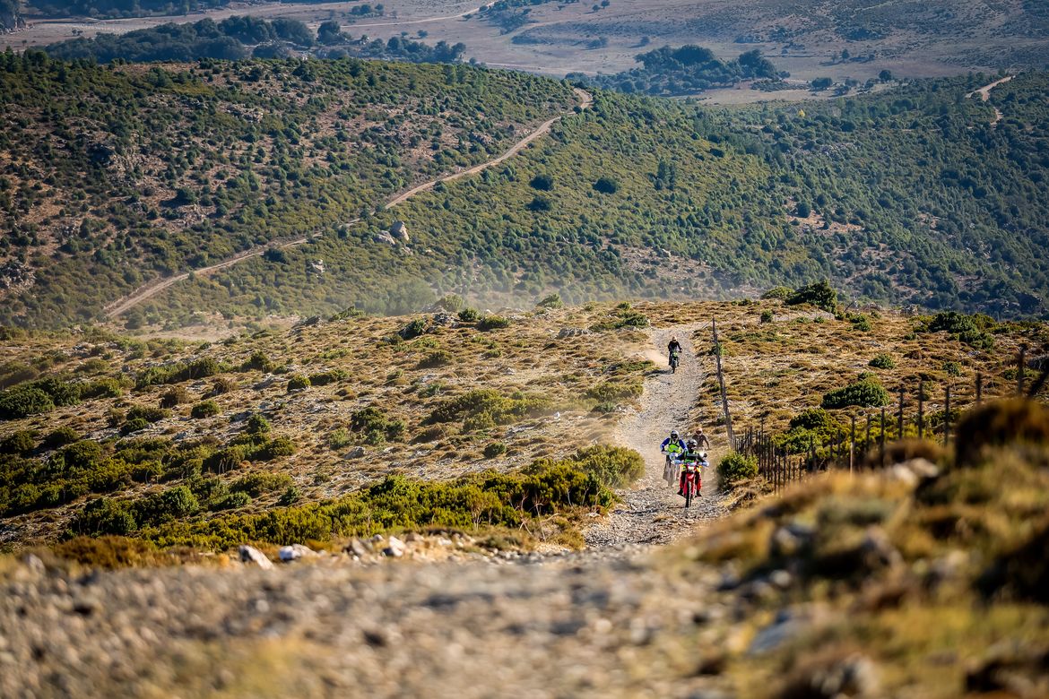 Swank Rally di Sardegna 2026 2